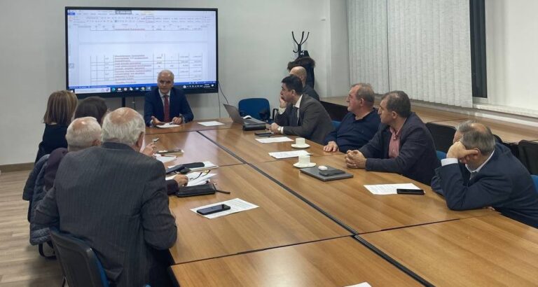 Պալատի խորհրդի նիստ N20